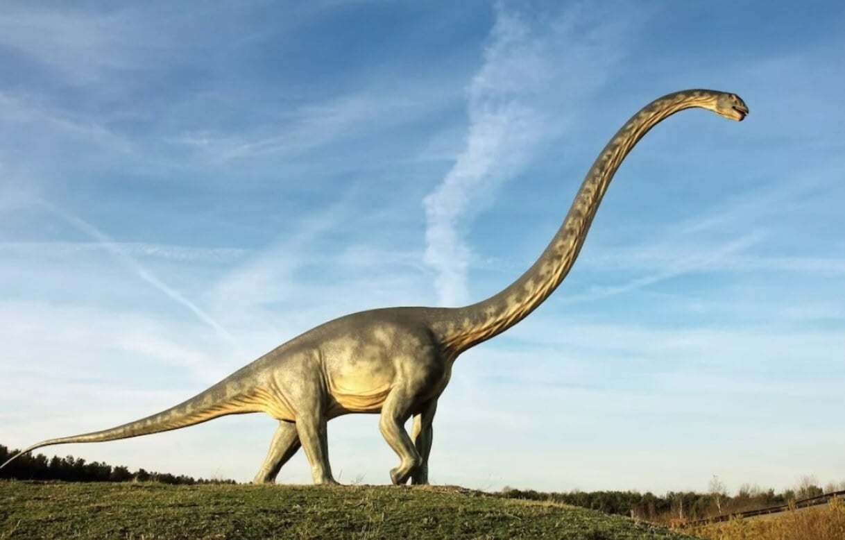 Почему самая длинная тропа динозавров продана за более 100 тысяч долларов