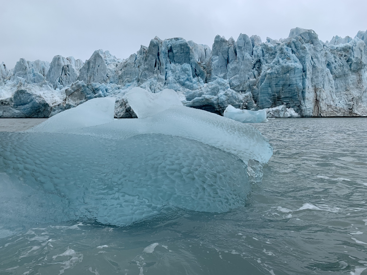 Ученые пытаются понять, что делать с ледниковым шельфом Уилкинса. Он на грани и грозит катастрофой планете